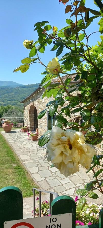 Hotel Poggio Al Sole Fiesole Exterior foto